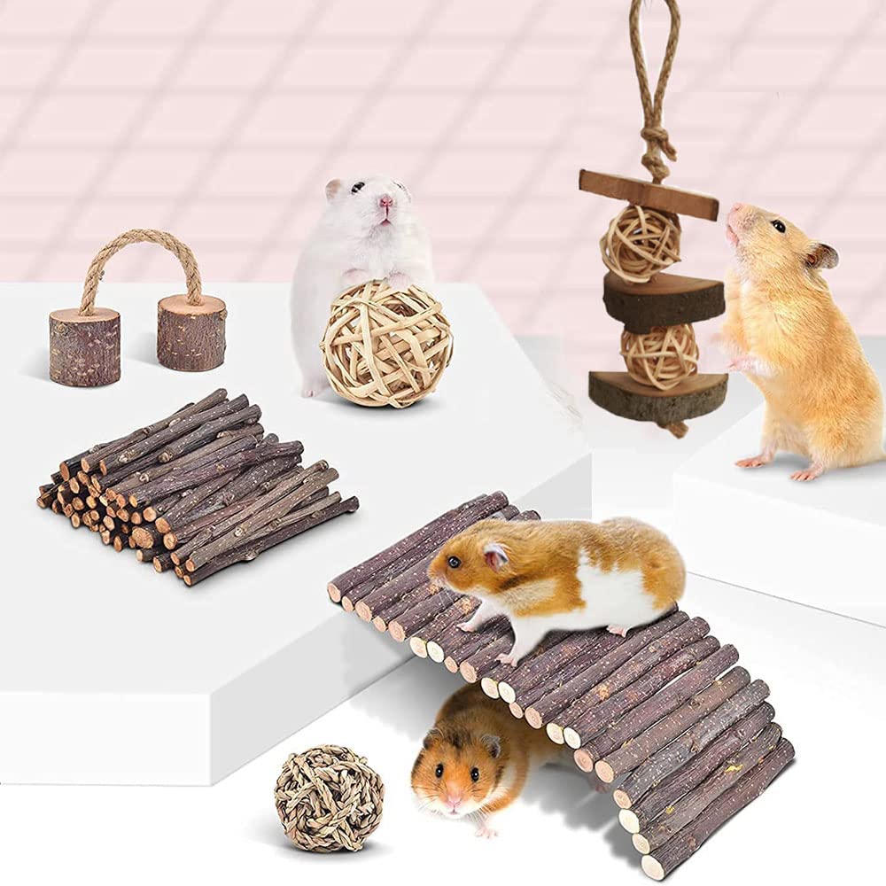 Hamster Kauw Speelgoed Set 14 Pack Natuurlijke Houten Hamster Speelgoed en Accessoires Tanden Verzorging Molaire Speelgoed Voor Cavia's Syrische Hamster Ratten Chinchilla's Gerbils Hamster Swing Seesaw
