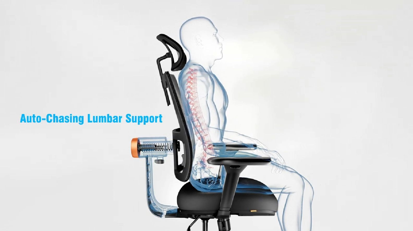 Amazon.com: Newtral Ergonomic Home Office Chair, High Back