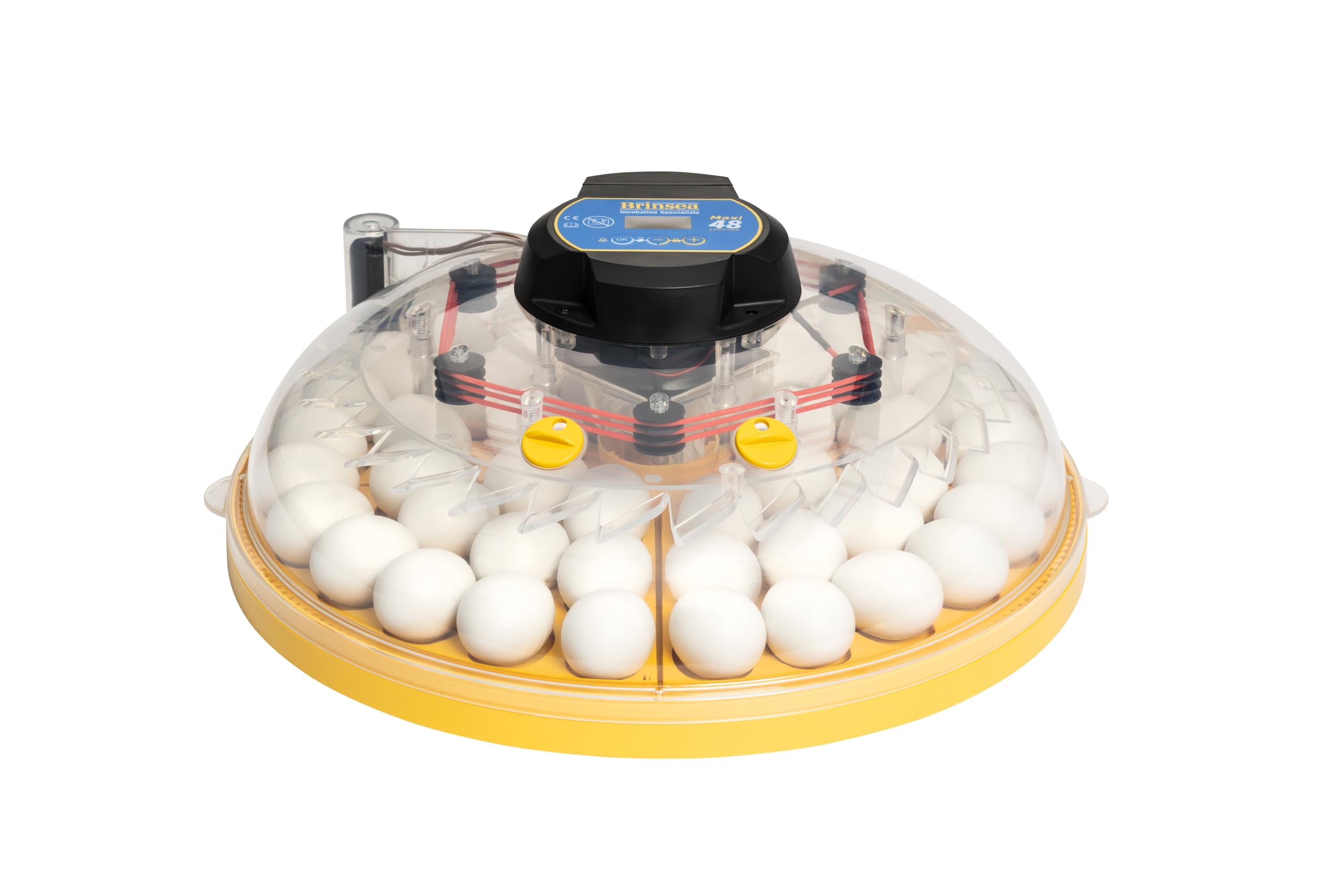 Incubadora BRINSEA Maxi 48 Advance - Incubadora para Huevos de Diferentes Especies de Ave - con volteo automático