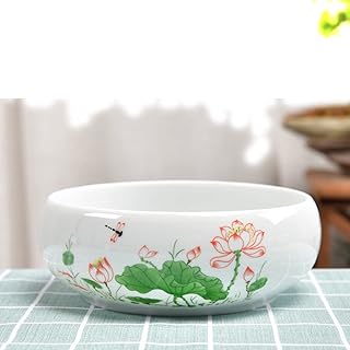 Nautance Narcissus Water Lily Bowl Lotus Lotus hydroponic Container Succulent Extra Large Potted plant-style09