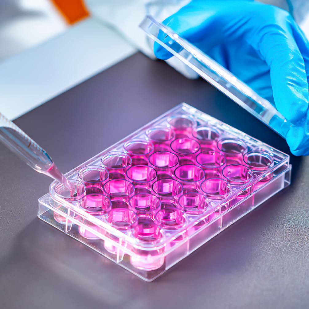 SOLUSTRE 2 Pcs 24 Well Cell Culture Plate Tissue Culture Plate Laboratory Chemical Reaction Plates for Lab Equipment