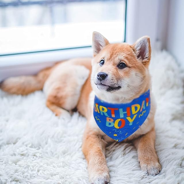 Foto 6 de 7 de Bandana de cumpleaños para perro, bandana de cumpleaños para perro, bufanda triangular para perros pequeños