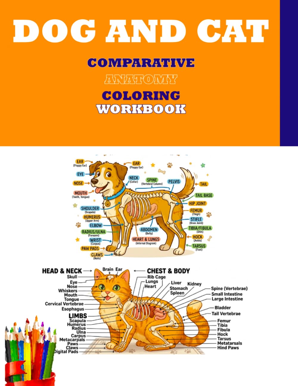 Dog And Cat Comparative Anatomy Coloring Workbook: Fun Scientific Coloring Pages Featuring Dog and Cat Anatomy
