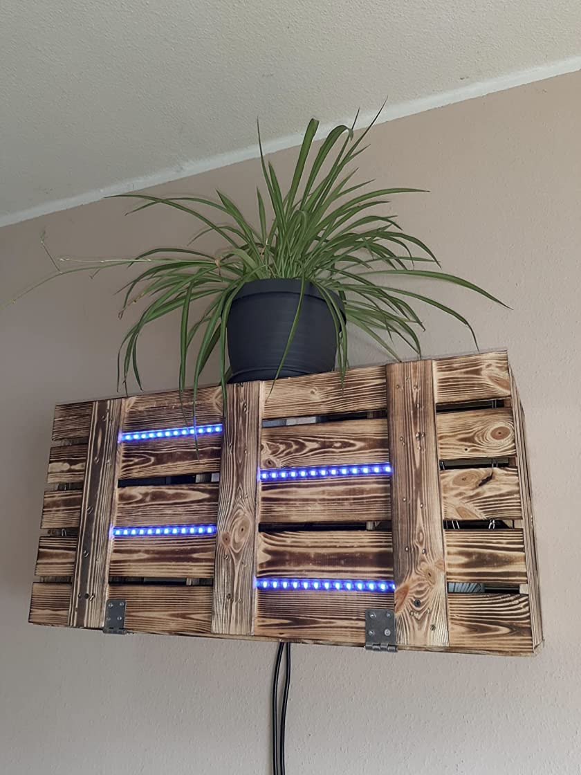 Außergewöhnliche, große Holztruhe mit Deckel, geflammt und mit Fächern, zum Verstauen All Ihrer Schätze, neu, 81x41x31cm