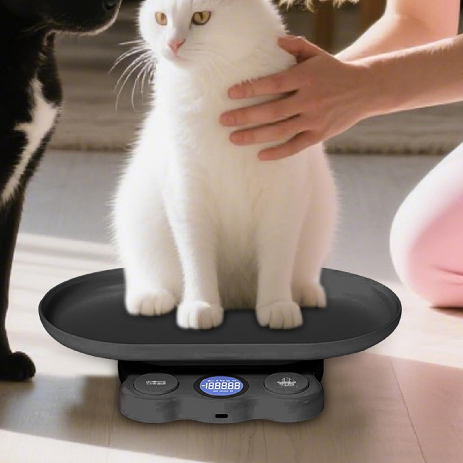 Bilancia digitale per animali domestici, strumento di pesatura per piccoli