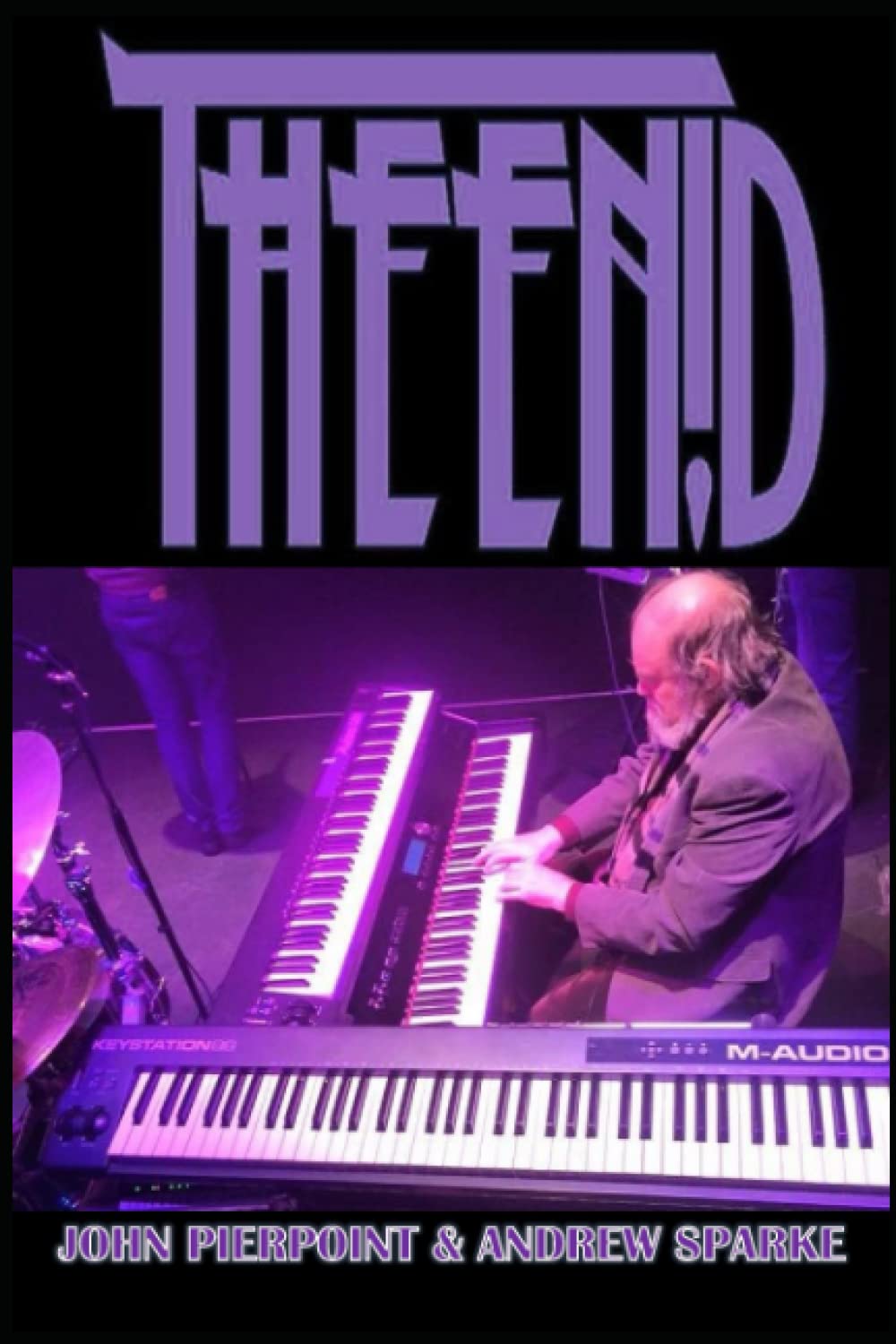 The Enid: Complete Recordings Illustrated: 41 (Essential Discographies)
