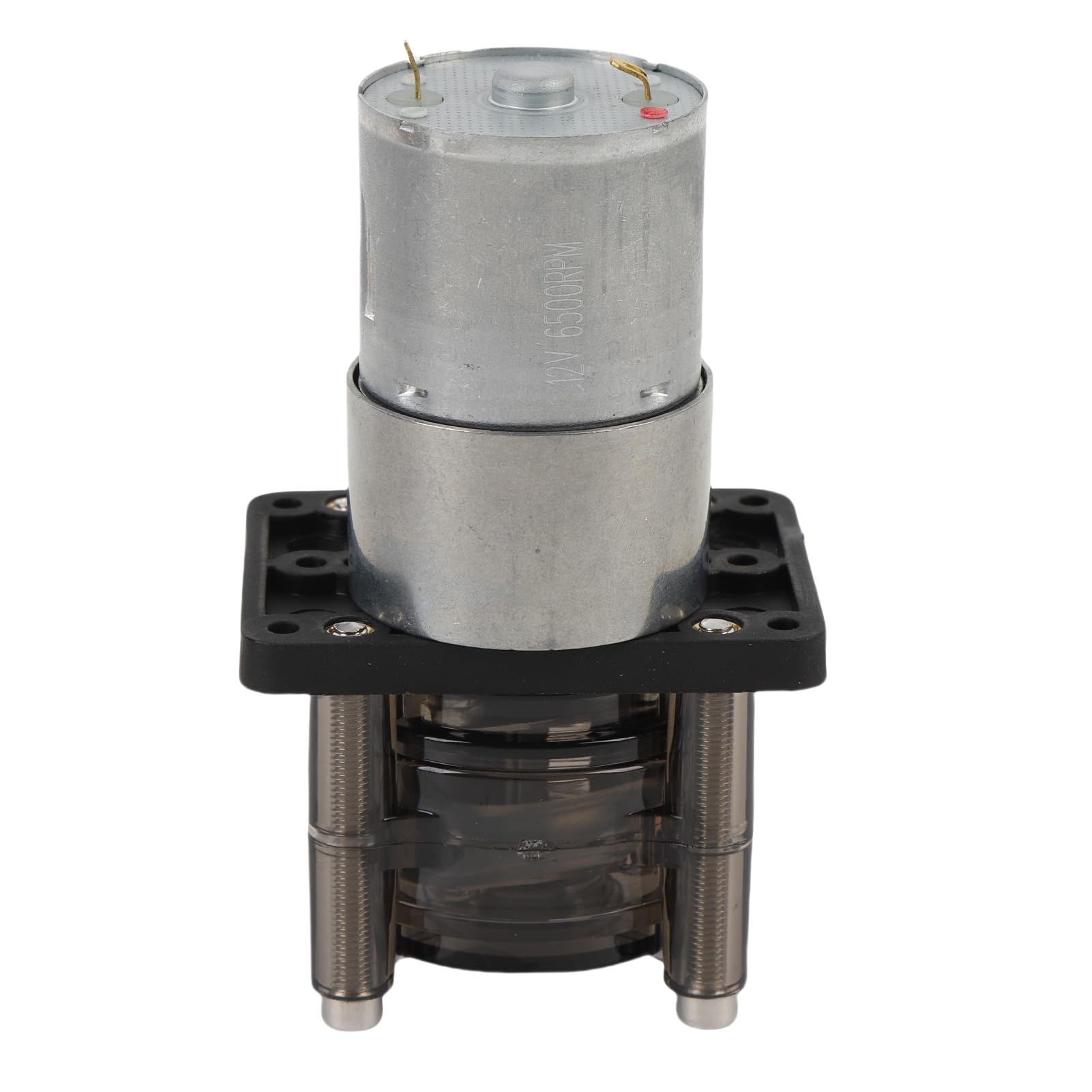 Generic Pompe Péristaltique, Conception Stable, Haut Débit, Moteur à Courant Continu 300 Ml/min, Pompe de Dosage de Liquide pour Aquarium en Acier Inoxydable (12V)