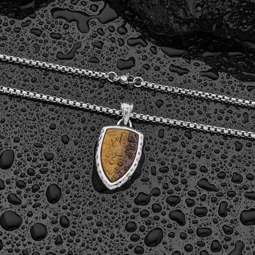 Stainless Steel Necklace for Men Shield Pendant Necklaces for Men, Durable & Fade-Resistant, Stylish Jewelry Gift for Him