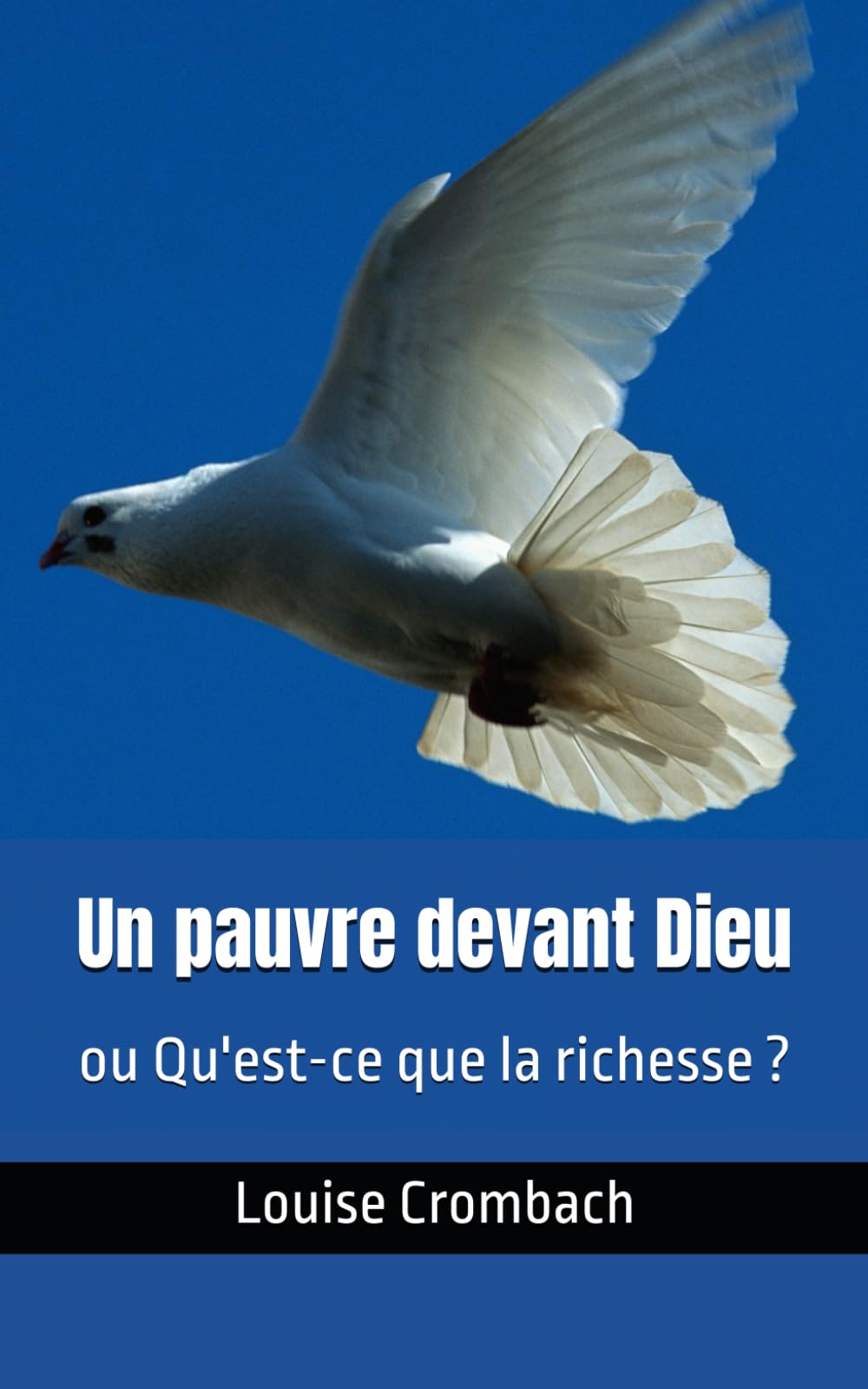 Un pauvre devant Dieu: ou Qu'est-ce que la richesse ?