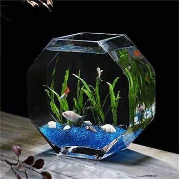 水槽用品 NOIR GEX マリーナS水槽 ブラックーN MR-300BK-N 約幅31.5×奥行18.5