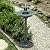 Alpine Corporation TEC106-BZ Alpine Floor Fountain, 35", Bronze & 35" Tall Outdoor 3-Tiered Pedestal Water Fountain and Birdbath, Green