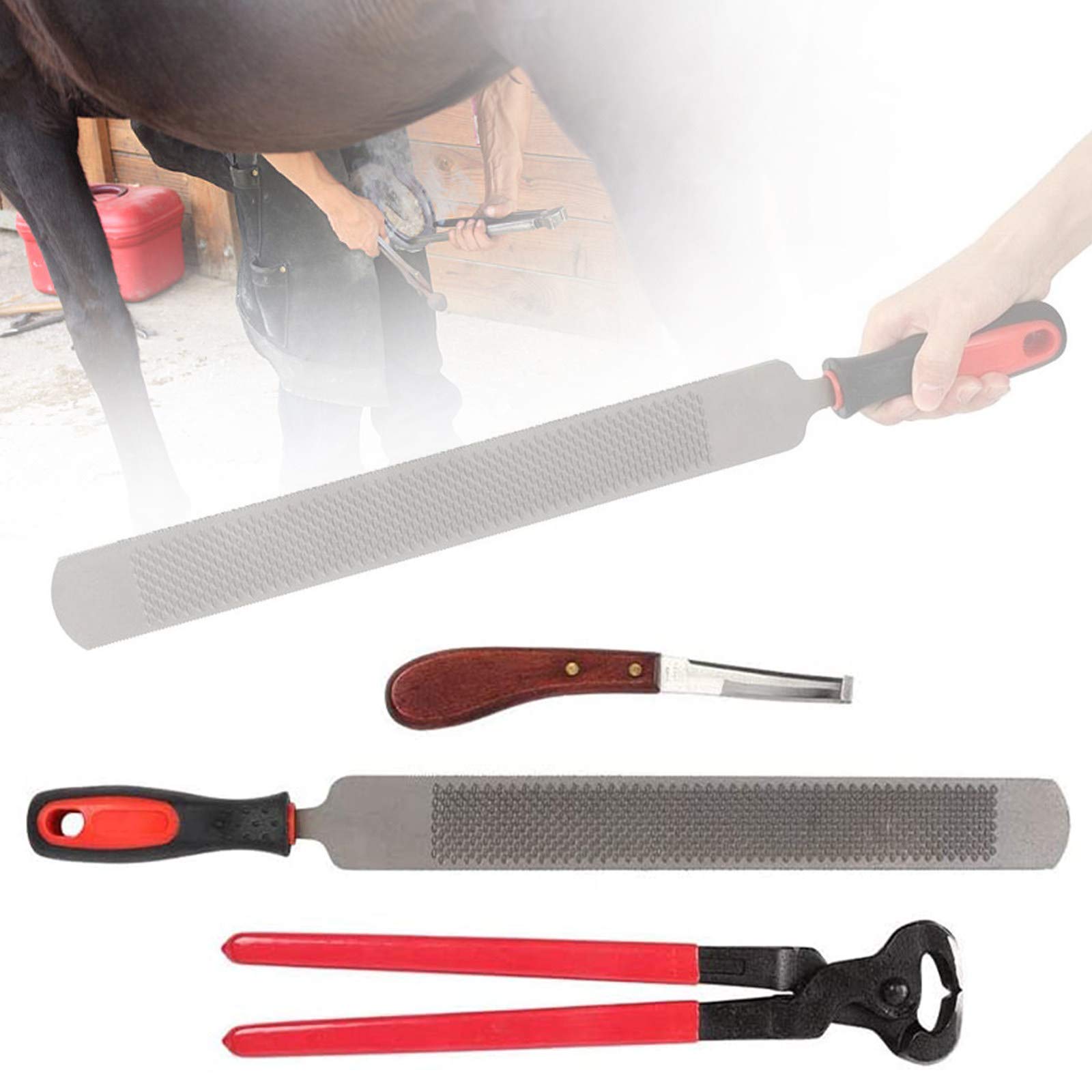 Buy Hoof Rasp for Horses, Horse Farrier Hoof Trim Tool Kit, Hoof Care