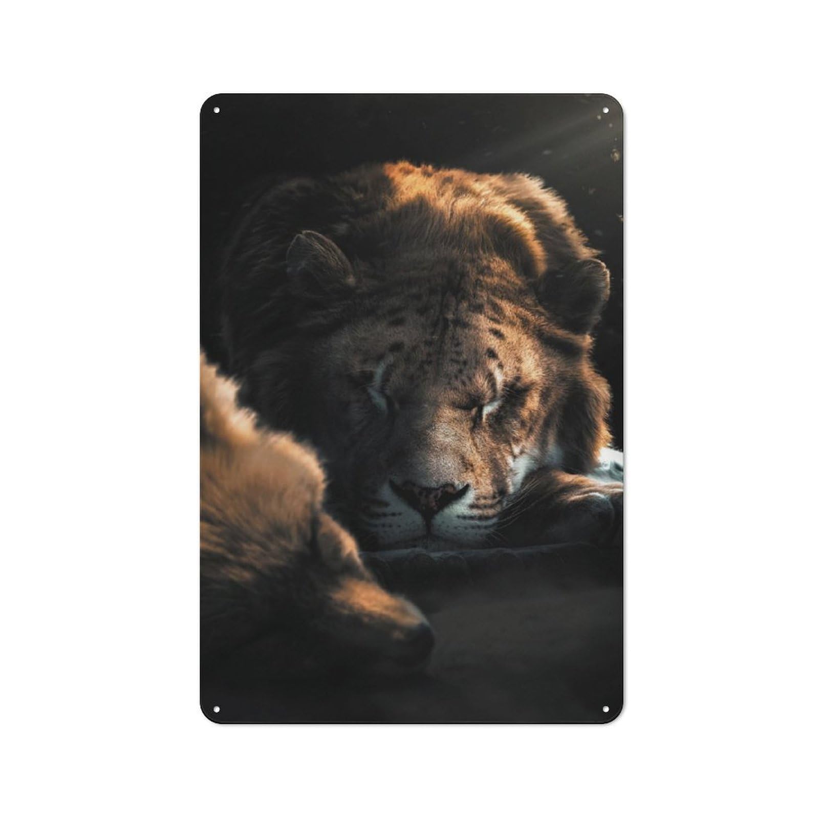 Junmoney The Sleeping Fox And Lion Retro-Style Metal Plaque 30X20cm For Garage Or Workshop, For Garage, Workshop And Man Cave Decoration