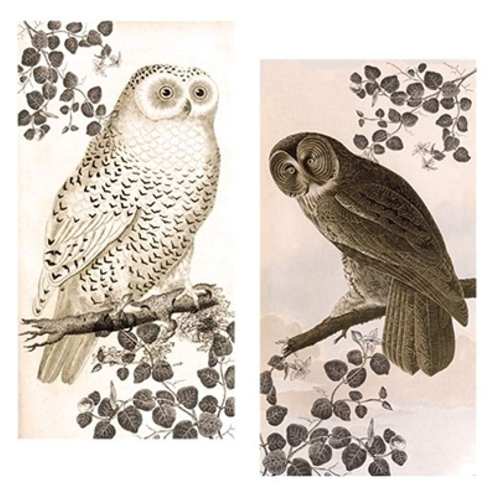 Decorative Matches, (Set of 3 Match Boxes) Long Wooden Matches,Strike Strip on Side of Box- Colored Match Tips- Candle and Fireplace Wooden Matches 4.375" x 2.35" x .75" (Vintage Owl)