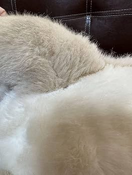 Amazon.co.jp: 全長約45cm オリエンタルトーイ うめ吉 ぬいぐるみ 犬 Amazon.co.jp: 全長約45cm オリエンタルトーイ うめ吉 ぬいぐるみ 犬