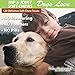 Deley Naturals Hip and Joint Supplement for Dogs - Glucosamine for Dogs with MSM, Turmeric, Chondroitin & Collagen Supplements - Joint Support Chews for Mobility, Flexibility & Comfort - 120 Chews