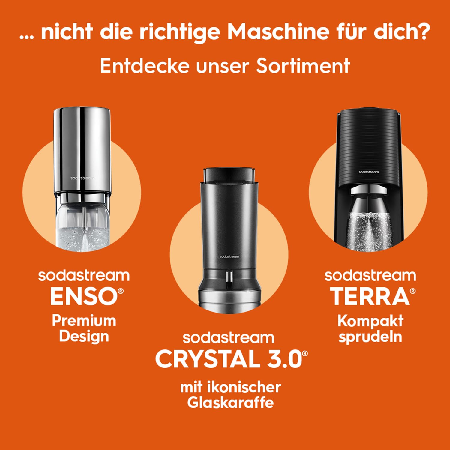 Sodastream Wassersprudler DUO Umsteiger inkl. 1L Glasflasche und 1L FUSE Kunststoffflasche Titan
