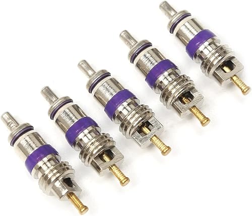 5 piezas AC núcleo de válvula 8E0820855 3C0816355 repuesto para VW Atlas Passat Passat Audi A3 A4 A5 A6 Q5 Q7 Q8 TT R8 RS3 RS4 RS5 TTRS 2002-2022