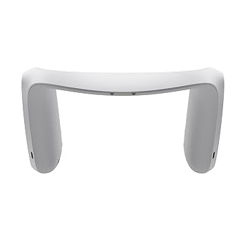 SONY SRS-WS1+CKS-SRSWS1 SET 状態良好 CKS-SRSWS1 | アクティブスピーカー／ネックスピーカー | ソニー