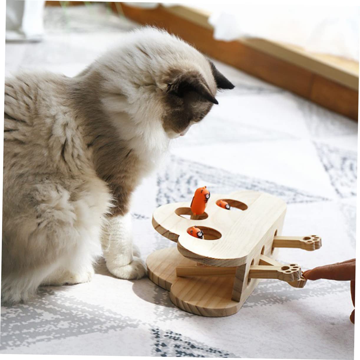 Holz Katzenspielzeug Mäusespielzeug Interaktiv Mit Katzenminze Spielerisch Haustier Katze
