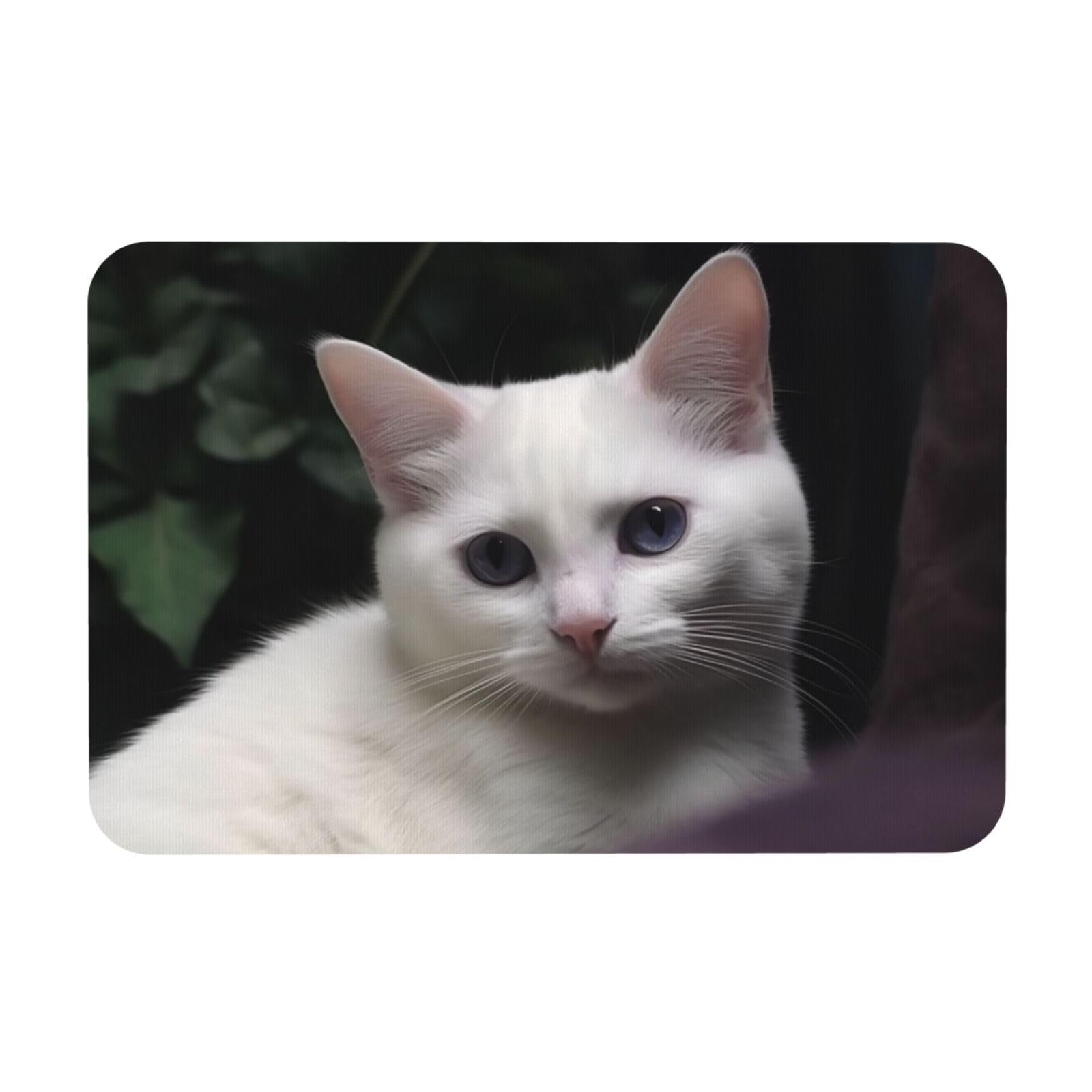 Tapis de bain diatomée chat blanc absorbant antidérapant 60x40 cm