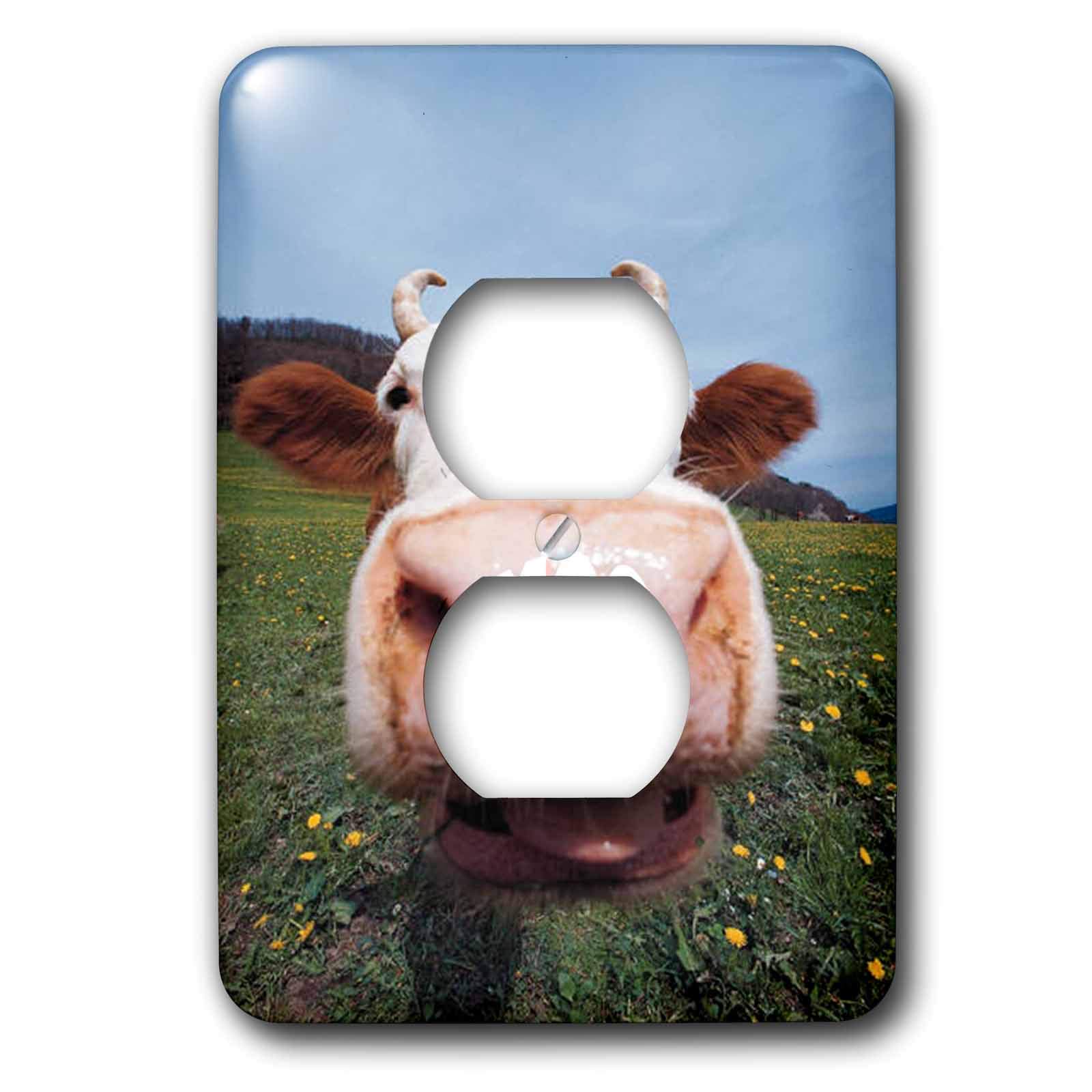 Big Moo 2 prise de courant pour cacher les plaques électriques usées lsp_23938_6