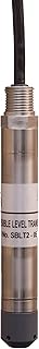 Flowline LD31-S131 Water and Light Oil Polyurethane DeltaSpan Submersible Pressure Level Transmitter, 20 psi