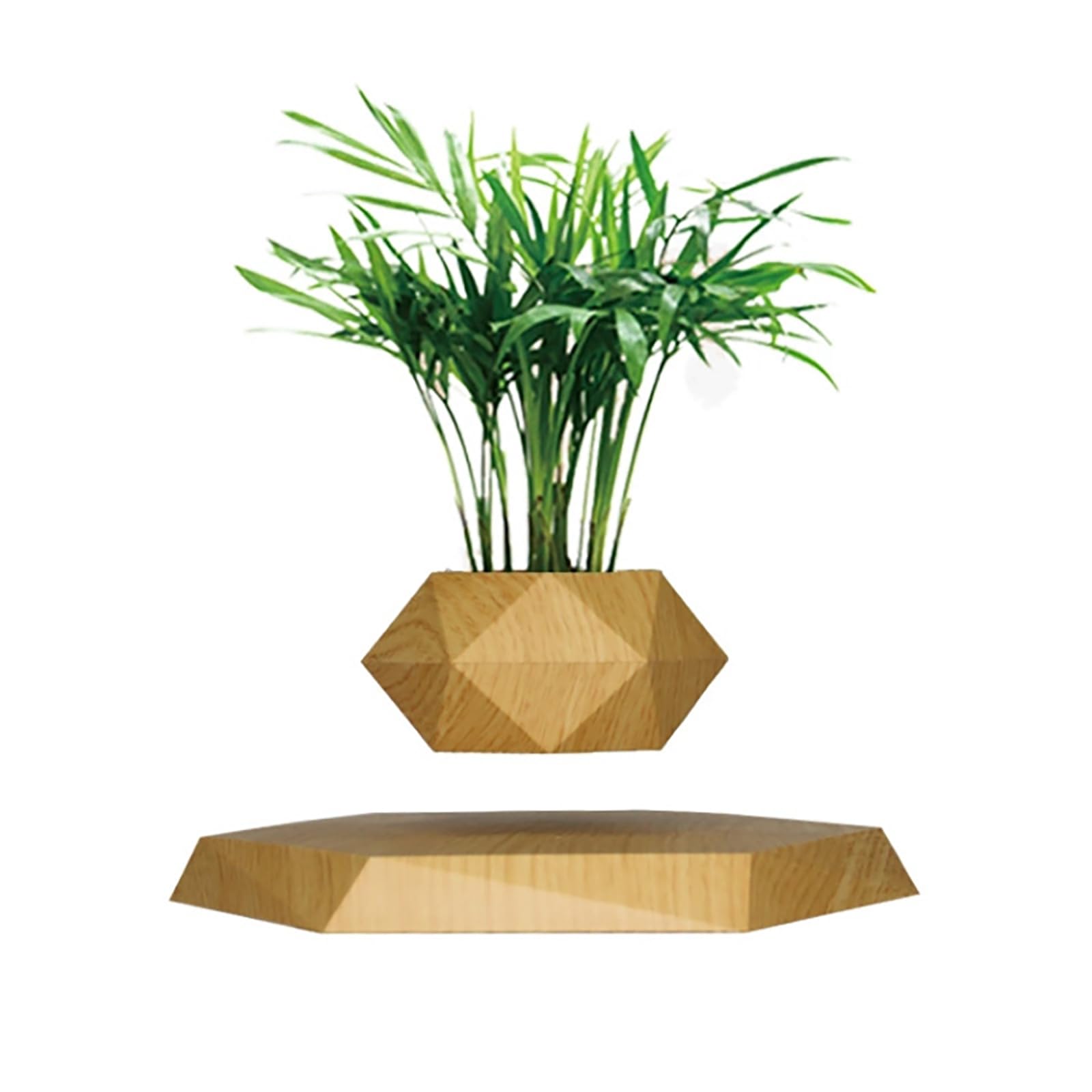 Saiduoduo Brown Wooden Levitating Plant Pot, Succulent Pots Planter Cactus Planter, Levitating Decor For Home & Office Magnetic Floating Levitating Display,