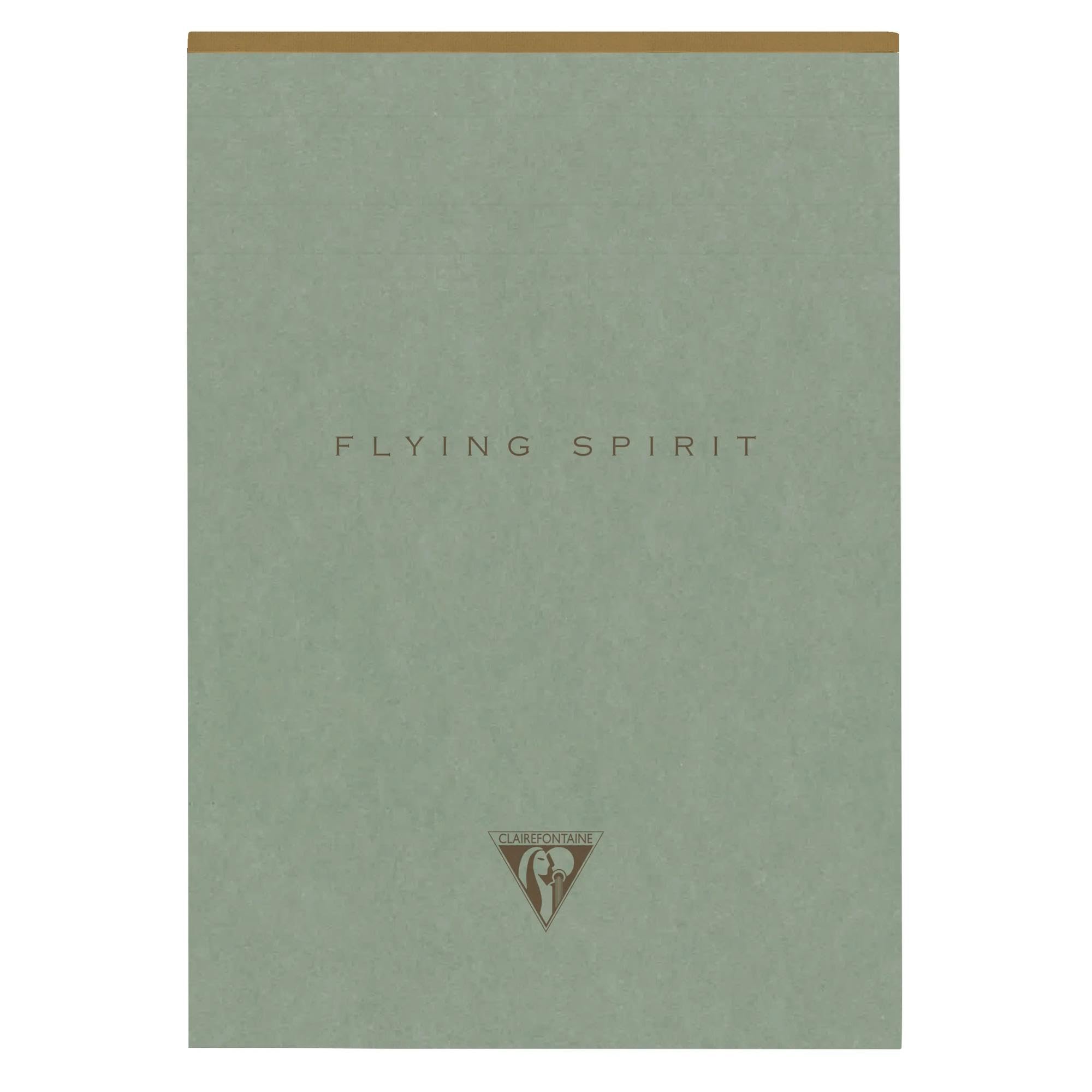Clairefontaine - 107636C - Flying Spirit A5 14,8x21cm 140 Detachable Lined Pages Ivory Paper 90g Grey Green Hard Cover 5 Motifs Printed on Back Random delivery