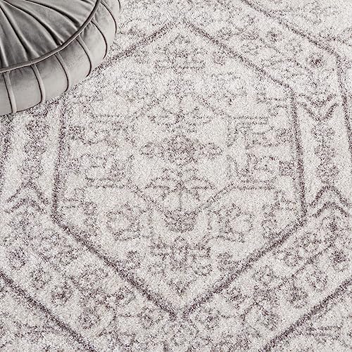 image for SAFAVIEH Adirondack Collection Area Rug - 8' x 10', Ivory & Silver, Or