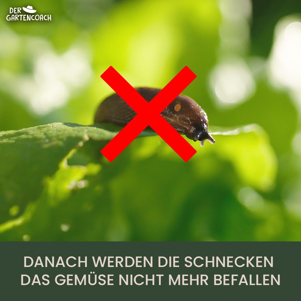 Schneckenkorn NATUR | Hochwirksames & Natürliches Mittel gegen Schnecken | Regenfest & Haustierfreundlich | Ideal für Gemüse- und Kräuterbeete, Ziergärten & Hochbeete (1000 Gramm)
