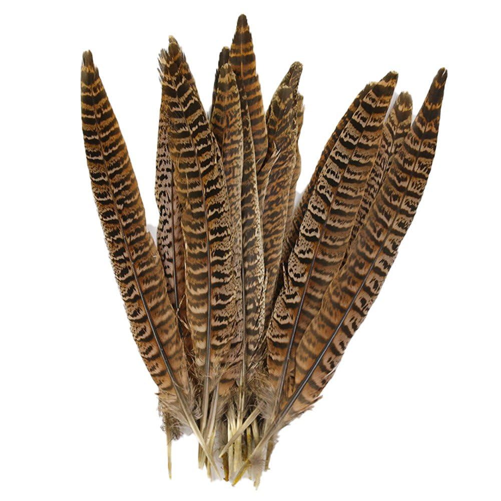 Fituenly Natural Color 10 Pcs Pheasant Tail Feather Home Party Table Centerpiece Feathers For Craft Natural Chicken Feathers Costume Headdress Making