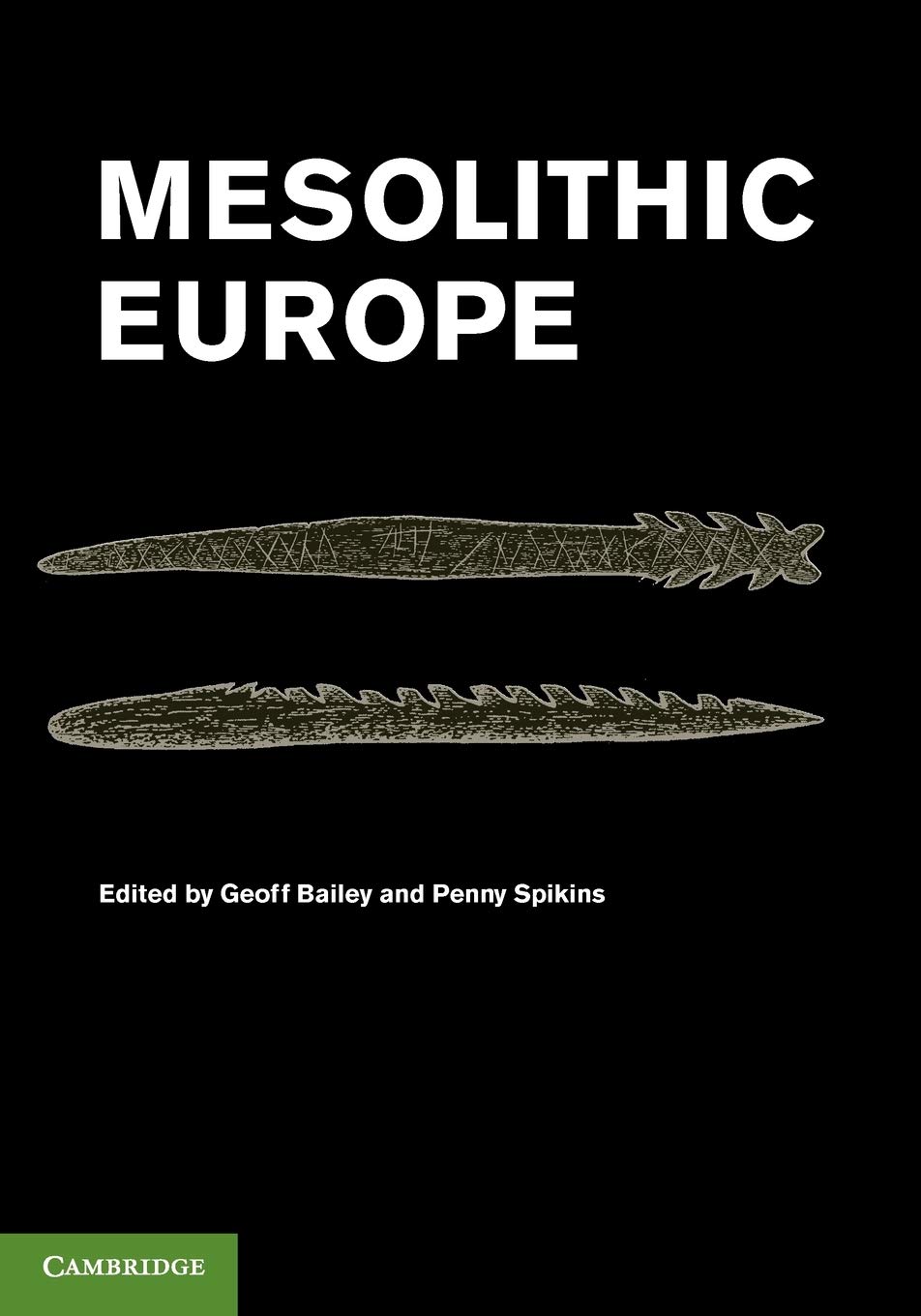 Mesolithic Europe