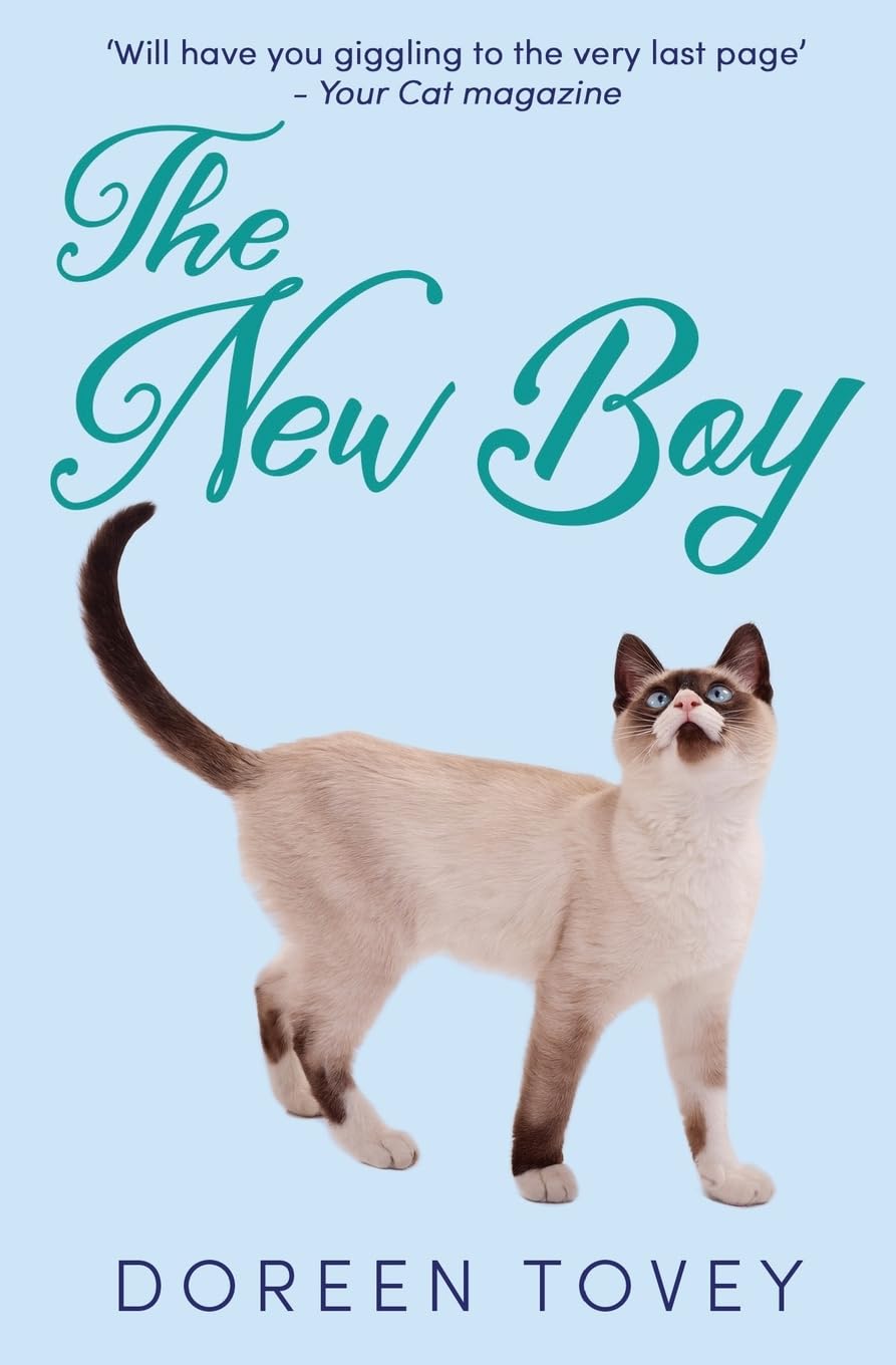 The New Boy: 5 (Feline Frolics)