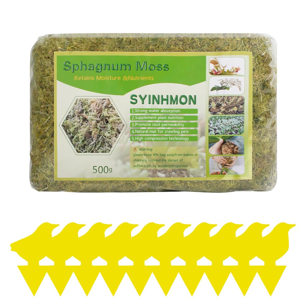 500 g Musgo Sphagnum, XPJBKC Musgo para Orquideas, Musgo Natural para Plantas, Sustrato Orquideas Sustrato Bonsai para Orquídeas, Plantas, Decoración de Musgo, Enraizamiento de Esquejes