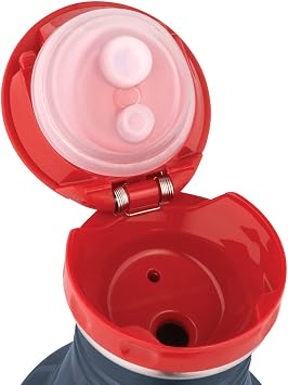 Thermos 24-Ounce ROHO Hydration Bottle, Brilliant