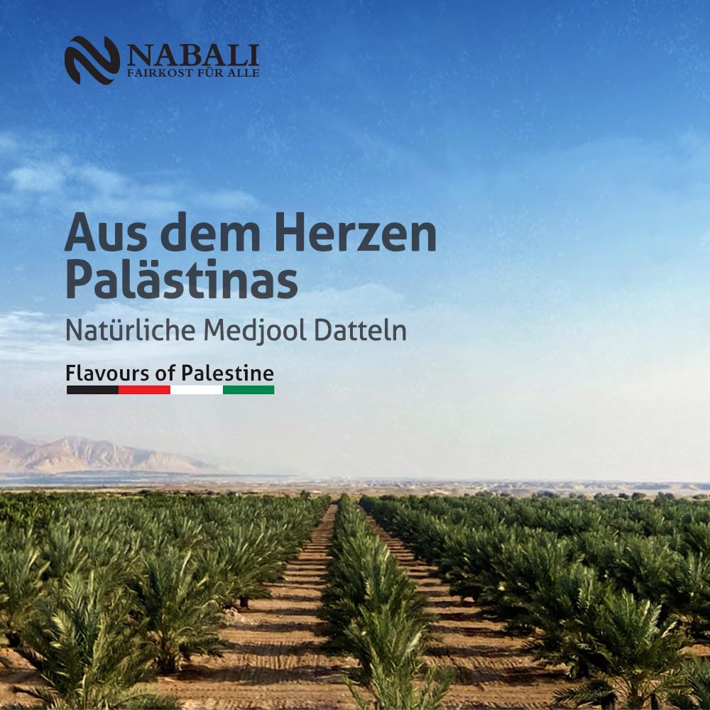 Medjool Datteln aus Palästina 2 x 1 kg - naturell vegan aromatisch traditionell frisch orientalisch ohne Konservierungsstoffe Premium