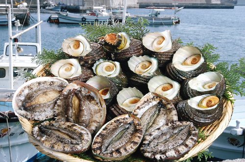 赤アワビ(1~2個で150~200g)とサザエ(8~12個で900~1000g) 愛媛 佐田岬産 天然 海士漁 浜から直送 宇和海の幸問屋