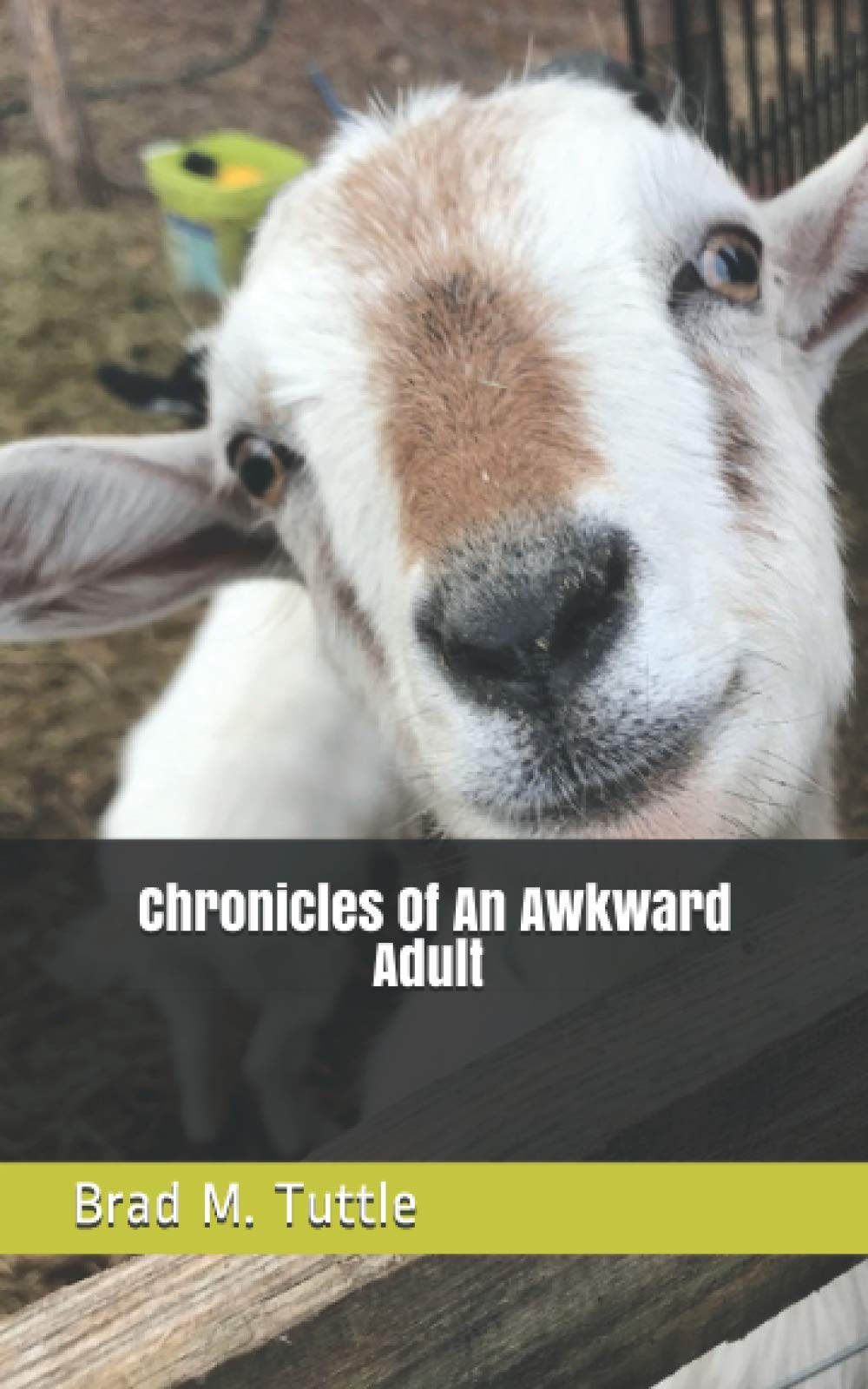 Chronicles Of An Awkward Adult