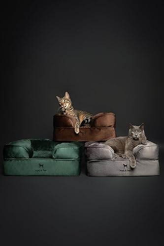 Miniatura 5 de NOAH & PAW Cama para perros pequeños, 20 x 15 x 8 pulgadas, cama para gatos de interior, espuma viscoelástica ortopédica de cáscara de huevo