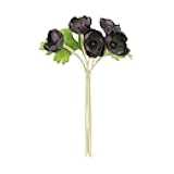 Angel Isabella Pack of 5 Stems-Real Touch Artificial Anemone Flower Bundle-Home Office Decoration Wedding Bouquet Centerpiece(Plum)