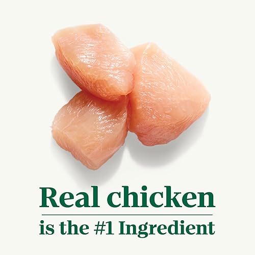 Miniatura 4 de Nutro Wholesome Essentials pollo de granja arroz marrón y patata dulce receta seca pequeña raza para perros