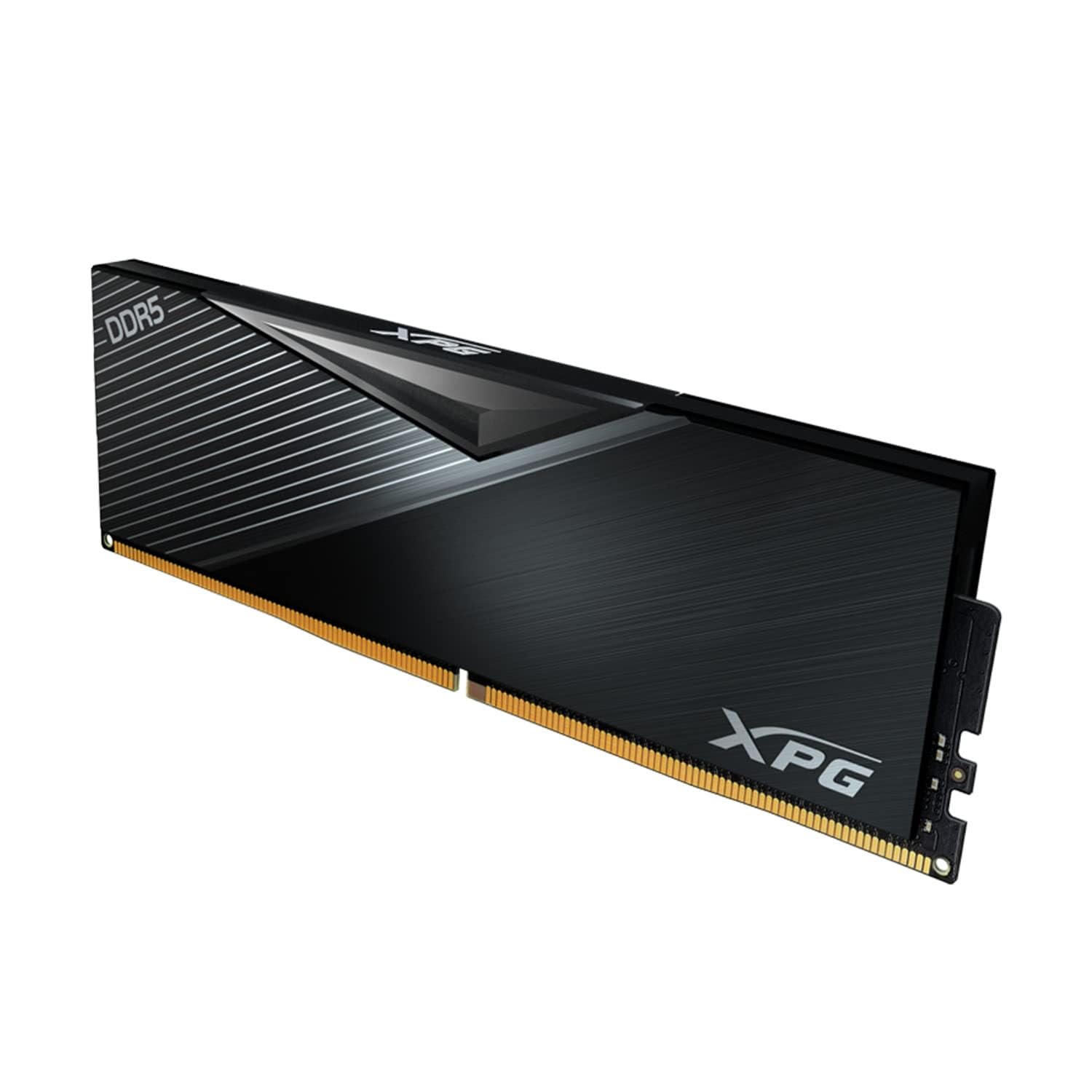 Amazon.in: Buy XPG Lancer 32GB DDR5 5600 Mhz CL 36-36-36