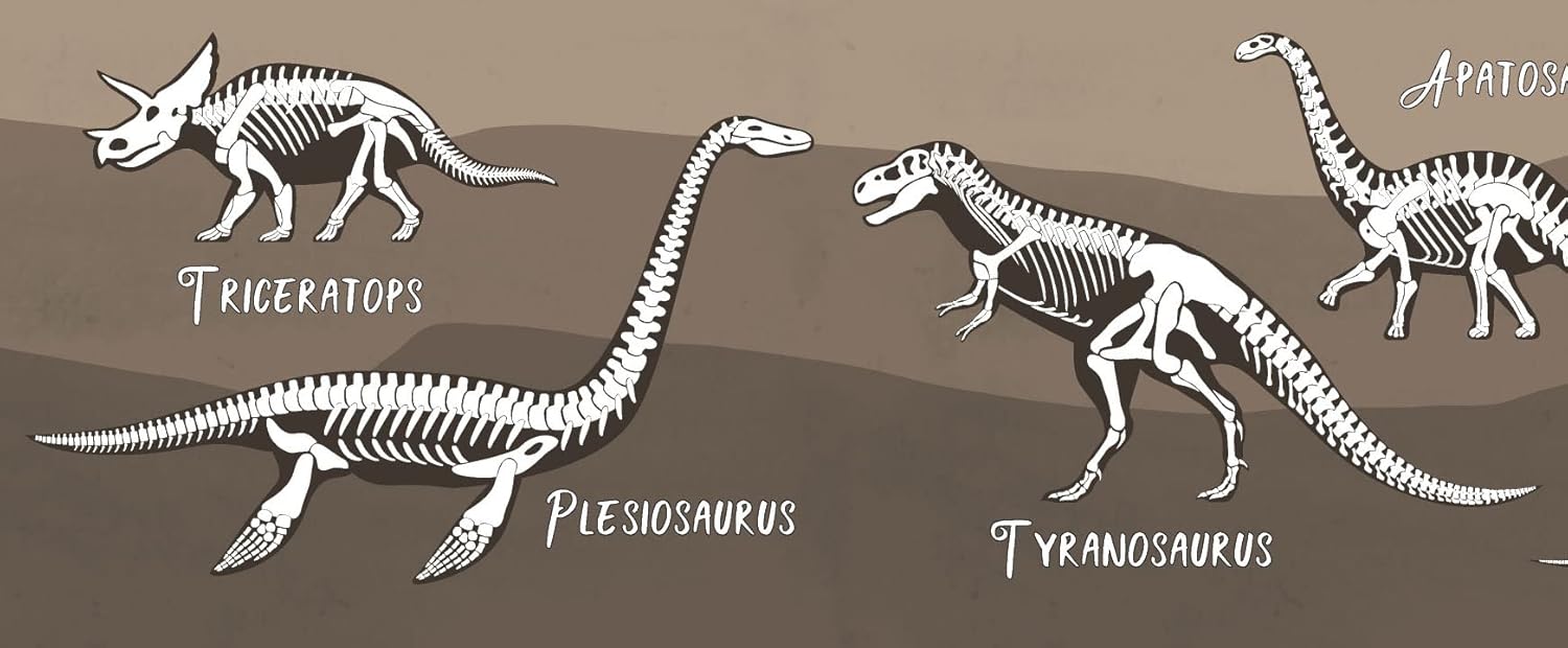 Grace & Gardenia GB90240g8 X-Ray Dinosaurs Peel and Stick Wallpaper Border 8in Height x 15ft Brown Black White Designs