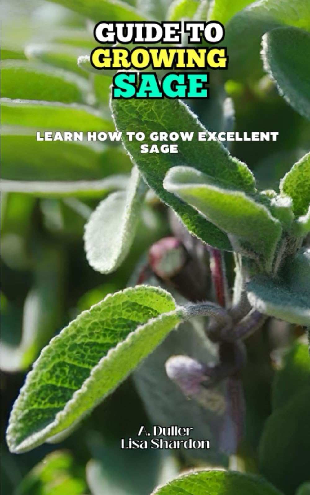 Guide to Growing Sage: Learn how to grow excellent Sage