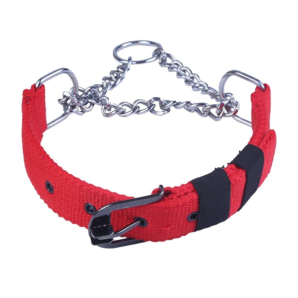 Pets Like Dog Choke Collar Red(38mm), (GE-PL0008A) (B09D3CKKFM) Amazon Price History, Amazon Price Tracker