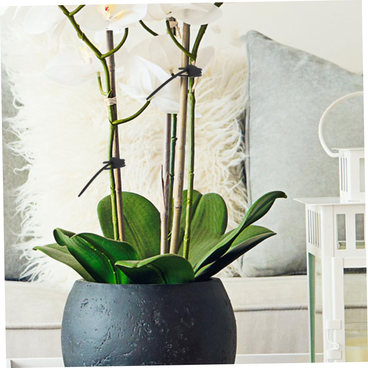 BESPORTBLE 4 Juegos Correas De Jardín Pastoral Poste De La Planta Lazos De Plantas Accesorio De Fijación De Plantas Lazos Reutilizables para Plantas De Jardín Gel De Sílice 20 Piezas * 4