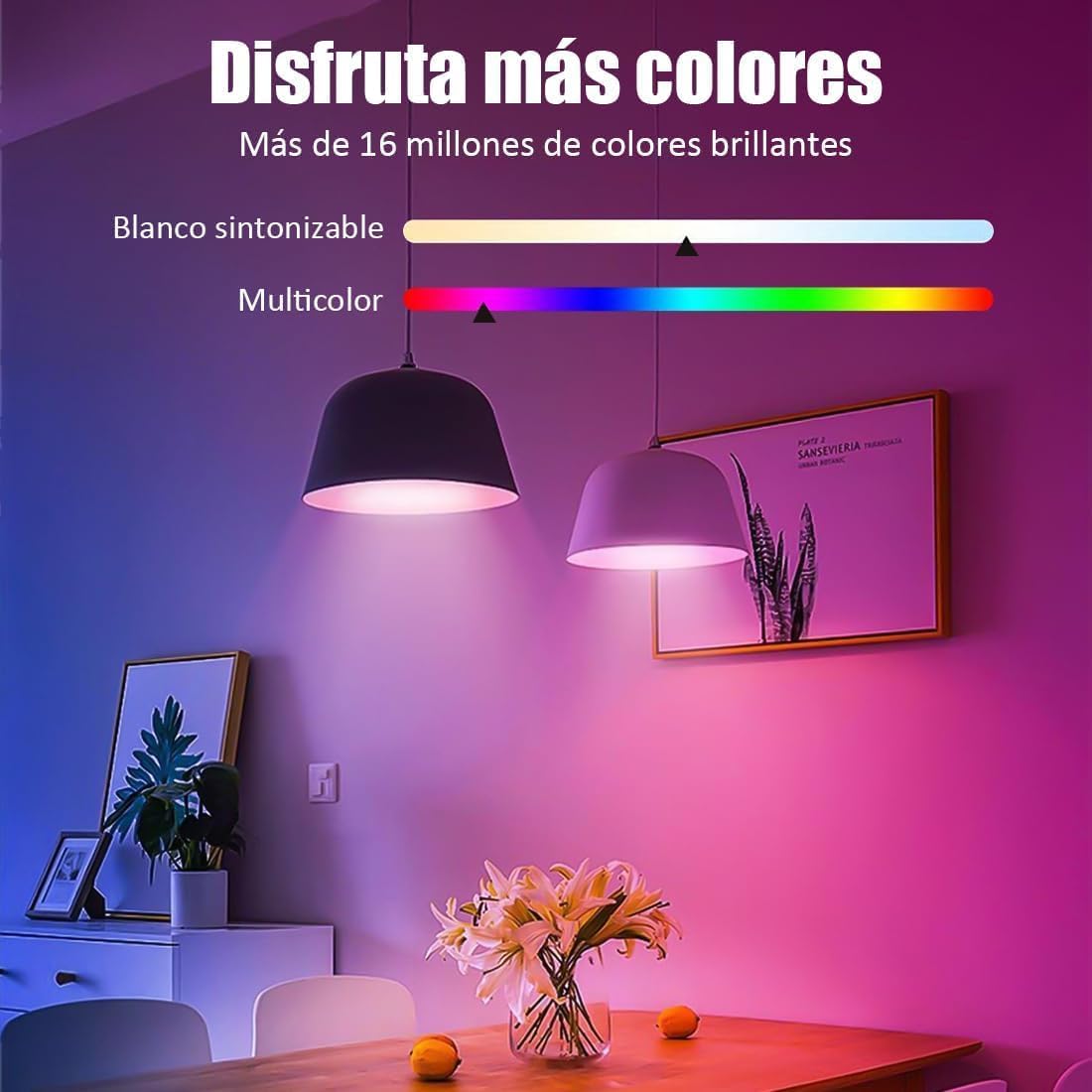 Una habitación iluminada con varios colores, que muestra las 16 millones de opciones de color.