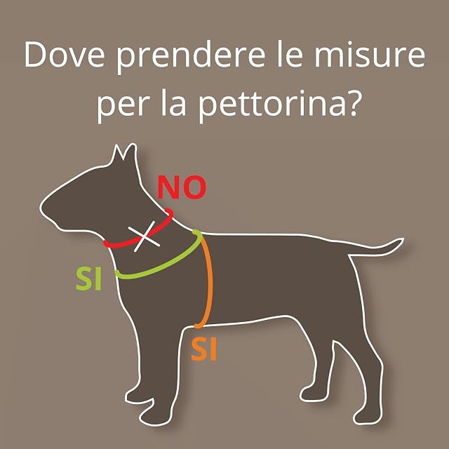 Foto 2 de 8 de Coralpina - Arnés Cinquetorri ajustable para perros de talla pequeña-mediana, suave y transpirable, no daña…