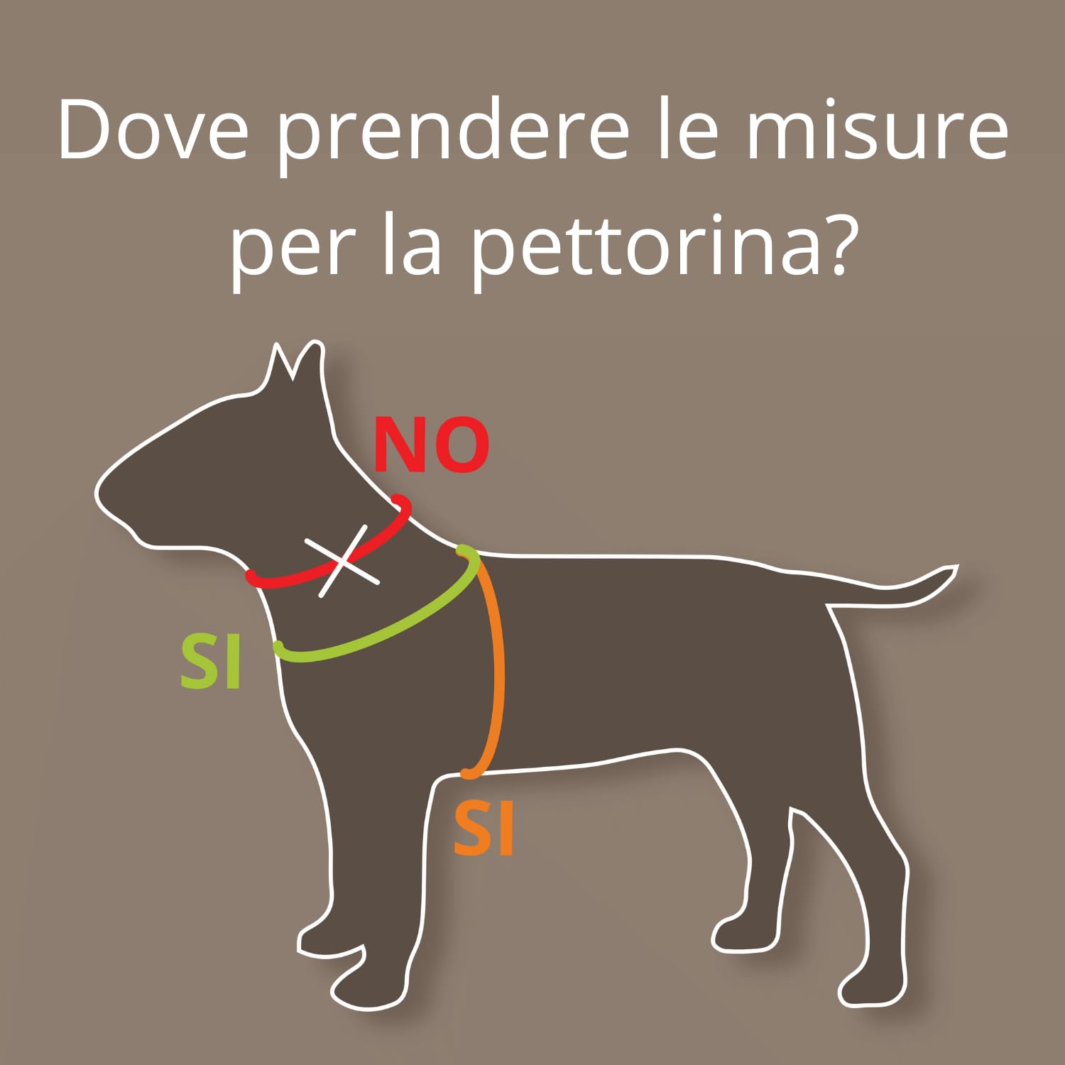 Pettorina Cinquetorri Per Cani Piccoli E Medi - Morbida, Traspirante, Turchese Taglia 1 - Foto 7